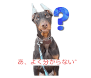 770768811