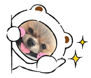 770777829