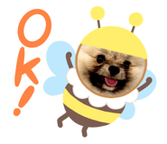 770777831