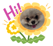 770777836