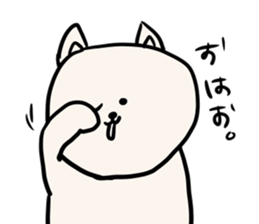 7707804
