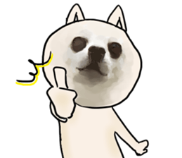 7707820