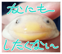 770783312