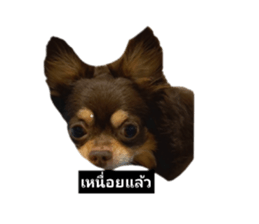 770791857