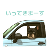 770807527