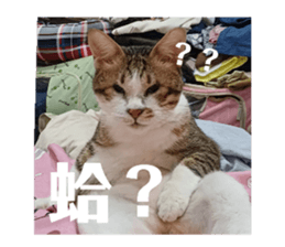 770810857
