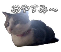 770813227