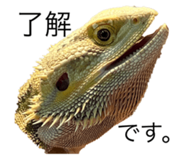 770817098