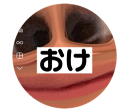 770817144