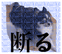 770818406