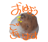 770820692