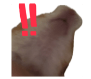 770820694