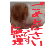 770820698