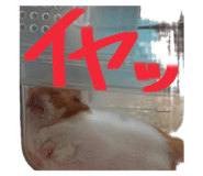 770820699