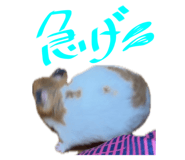 770820707