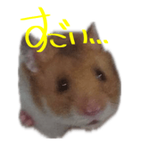 770820711