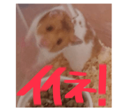 770820712