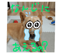 770821337