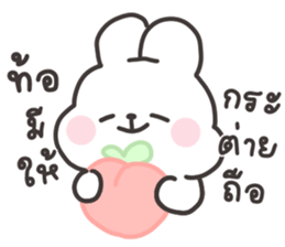 Bebby the rabbit v.2 30