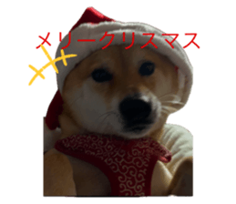 770850558