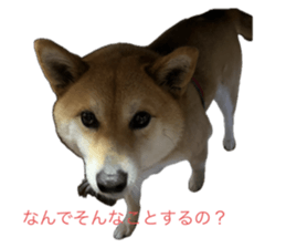 770850572