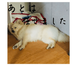 770851425