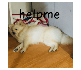 770851428