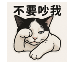 770868077