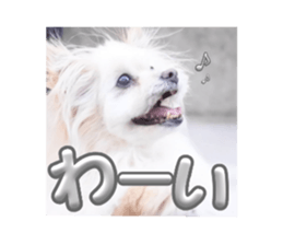770869017