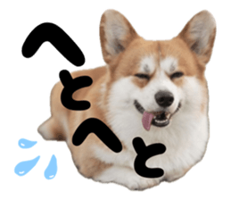 770869939