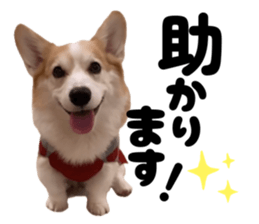 770869944