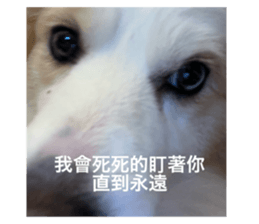 770873017