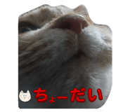 770875378
