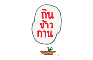 ลายที่ 13