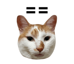 770876564