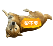 770894858