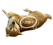 770894869