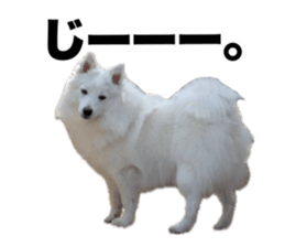 770896488