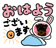770918584