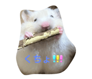770920206