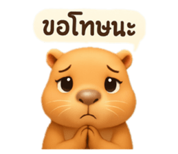 770928806