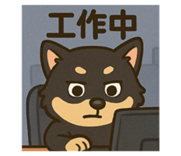 770937210