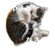 770940278