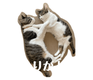 770940281