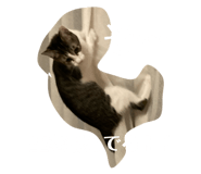 770940282