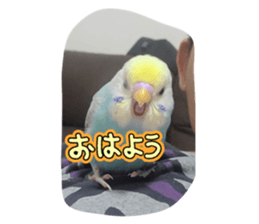 770940601