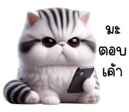 770943252