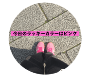 770948509