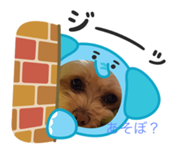 770951462