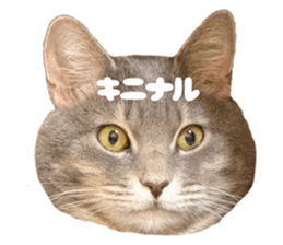 770953463